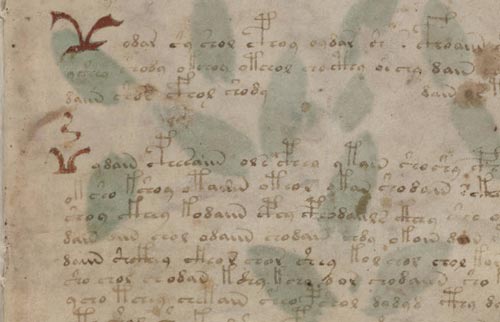 voynich manuscript detail 01
