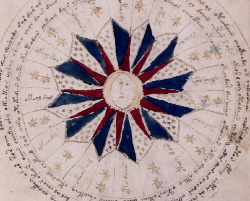 voynich manuscript detail 02
