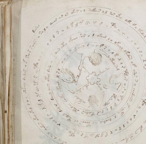 voynich manuscript detail 03